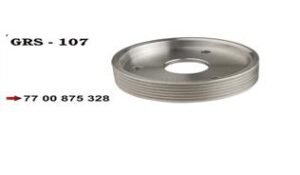 Hidrolik Direksiyon Pompa Kasnağı Kng-clıo Iı 1.9d F8q 98 - 7700875328