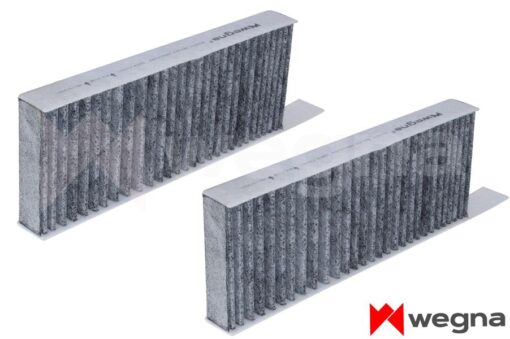 Polen Filtresi Astra L 21 P308 Iı-ııı 13 P508 18 Karbonlu - 9822326680-9804163480-1612920480