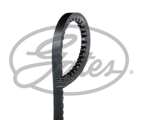 V Kayışı 10x875la Peugeot 505-opel Corsa--honda-vw Transporter Iıı Gd10av0875 - 575026-107037-053121039A