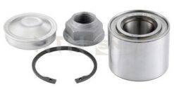 Arka Teker Rulmanı Kit Clıo Iv 12 1.5dcı 15-16 Inc - 432102103R-432100366R