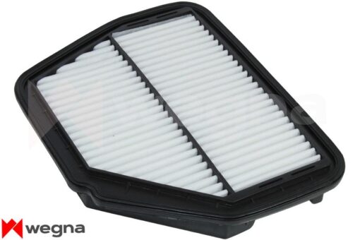 Hava Filtresi Captıva-antara 2.0cdtı-2.4 06 - 96628890-4807917