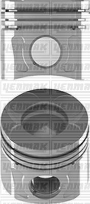 Pıston Segman Std 69.60mm Fıorıno 1.3 75hp Jtd Iı 1.6 Euro5 -astra J Corsa D 1.3 09 - 55267589