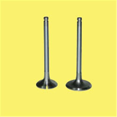Emme Egzoz Subap Takım Polo-golf4-5-jetta-passat-tıguan Ahw-bby-bky-bag-blf-blp-bmy-bcb-cava-caxa - 036109601S-036109611K