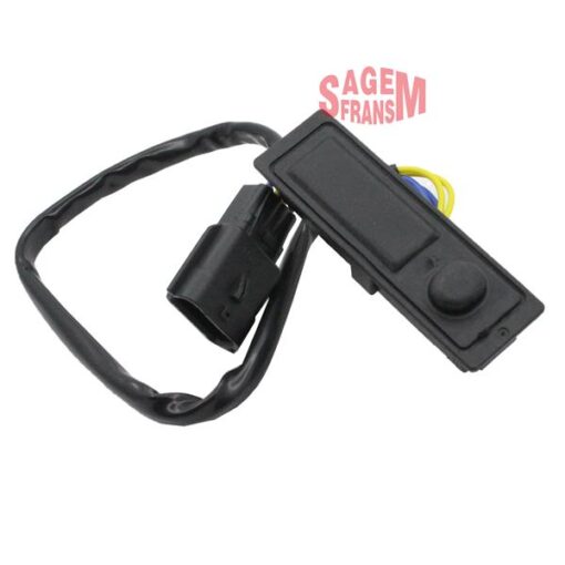 Bagaj Açma Düğmesi Kadjar - 253804EA1A
