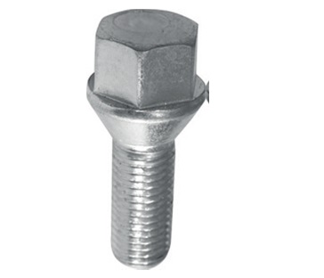 Bijon Cıvatası Kromajlı Mgn-kng-clıo Ym - 8200473355