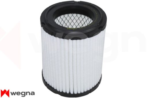 Hava Filtresi Cıvıc Vıı 2.0 01-05 C1430 - 17220PNA003