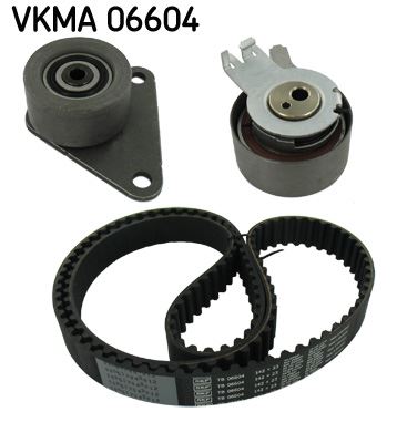 Eksantrik Gergi Kiti Lgn 2.0-2.0 16v 95-01 -safrane Iı 2.0 16v-2.5 20v 96-00 -142volvo S40 99-03 - 7438610040-7701471520-8610040