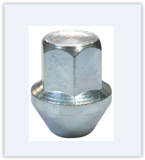 Bijon Somunu Sabit Pullu Ford Connect - 2T141012AC
