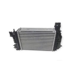Turbo Radyatörü Intercooler Renault Clıo V 19 1.0tce Nıssan Mıcra V 18 Brazıng 255x217x50 - 144966668R
