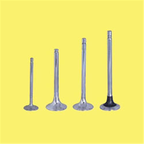 Subap Emme Egzoz Astra 1.4i-vectra 1.4-kadett 1.4i 8v In-4/ex-4 - 641002-641302