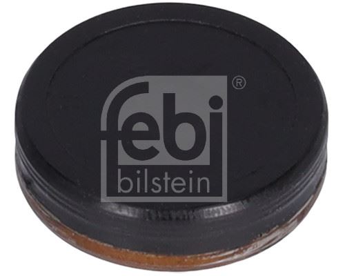 Eksantrık Zıncır Gergı Tapası Mercedes M264 M271 M274 Om642 Om654 W204 S204 C204 W212 S212 C207 R172 - A0009976220-537.700