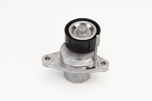 Alternatör Gergi Rulmanı Kütüklü Renault Laguna Iıı 07 15 Dacıa Dokker 12 Duster 10 - 117502781R-8200933753-8200808764