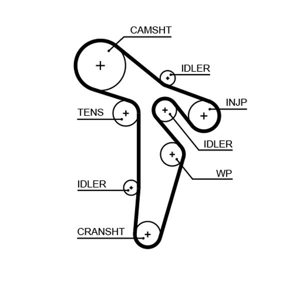 Triger Kayışı 160x250 Vw Transporter T5 2.0tdı 09 Caaa /caab /caac Ct1139 - 03L109119C-03L109119G