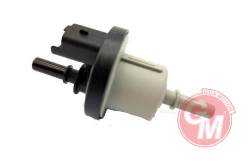 Kanister Valfi Elektro Vana Renault Kangoo Iı-megane Iı-scenıc Iı-logan-duster-twıngo-laguna-dokker - 6001543631-8200248821-8200660852