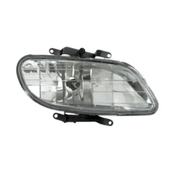 Hyundaı Lamba Sis Accent 00-02 Sağ - 92202-25000