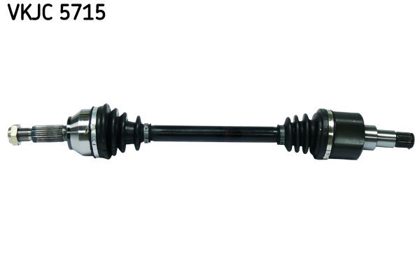 139135074