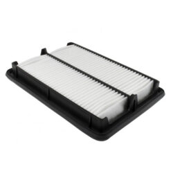 Hava Filtreleri Navara 08- - 16546EB70A