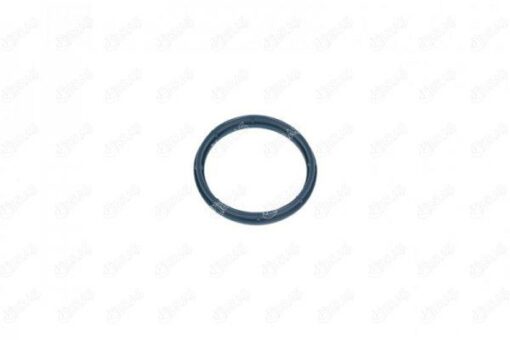 Emme Manıfold Contası Cıtroen Jumper Platform Şası Relay 2.2 Hdı 120 - 9809876580