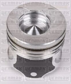 Motor Piston Segman Std 25pim Clıo-kng-symbol 1.5 Dcı