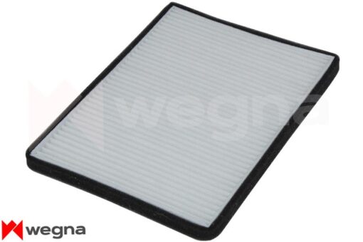 Polen Filtresi Mgn I 96 Klimalı Tüm Modeller Çerçevesiz Cu 2424 - 7700424093