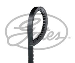 V Kayışı 10x800la Opel- Cıtroen C25-honda Crx Iı-fıat Panda-ford Fıesta 9.5x800 - 950365-035903137A-32421717953