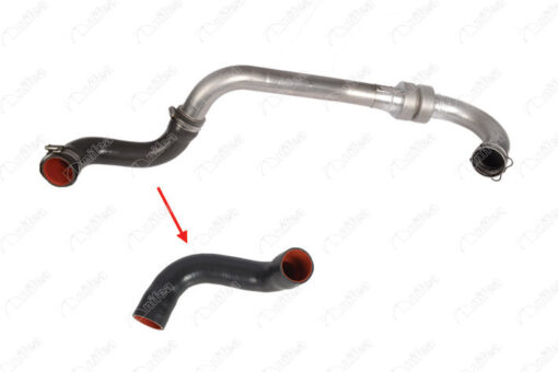 Turbo Çıkış Hortumu Mgn Iı 1.5dcı 101hp - 8200276297