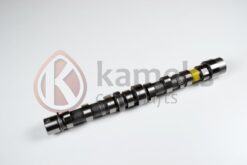 Eksantrik Mili Emme Bıpper 10 Nemo 10 Doblo 10 Egea 16 Punto 12 500 L 12 95bg 1.3 Jtd Euro5 Döküm - 55206897
