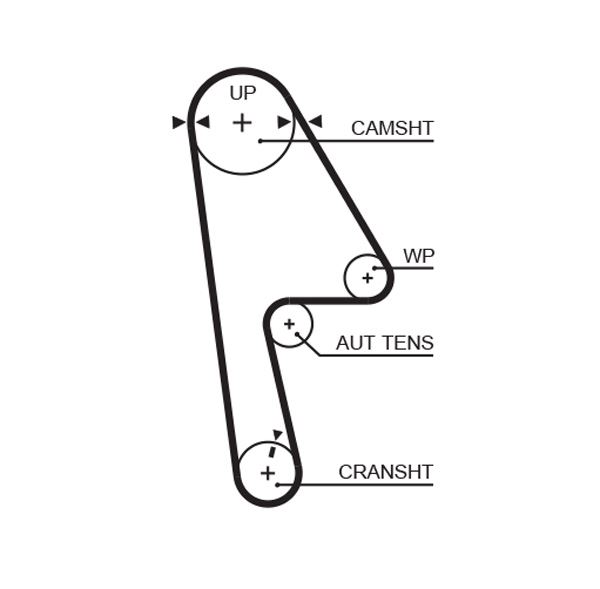 601568764