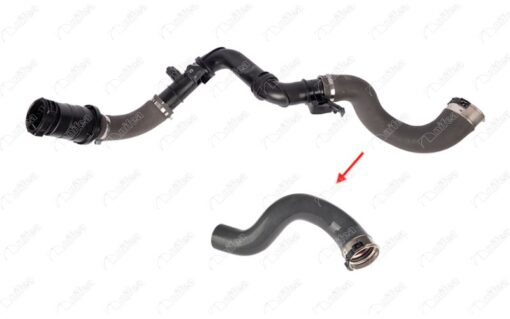 Turbo Hortumuplastik Boru Hariçok İle Gösterilen Büyük Hortum Renault Trafıc - 144601915R-6000618731-93867721