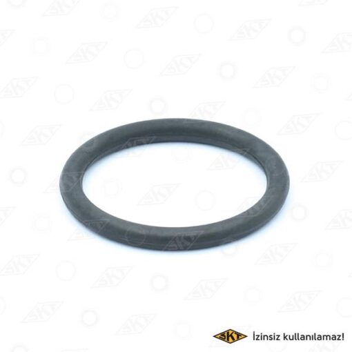 Şanz. Klm Çıkış Mili Keçesi Renault 12 Toros - 855779500