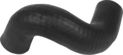 1519 Radyatör Alt Hortumu R19 Dzl-exp - 6006001231