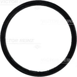 Emme Manıfold Contası Mercedes Om604 Om605 W202 S202 W210 S210 - A6041410160-915.769