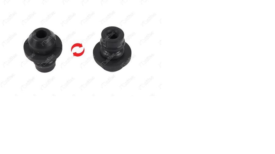 155272189.jpg 155272189