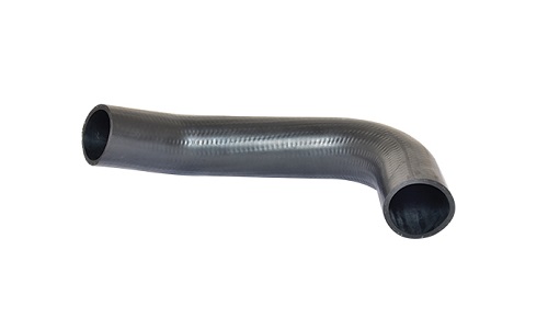 186953300.jpg 186953300