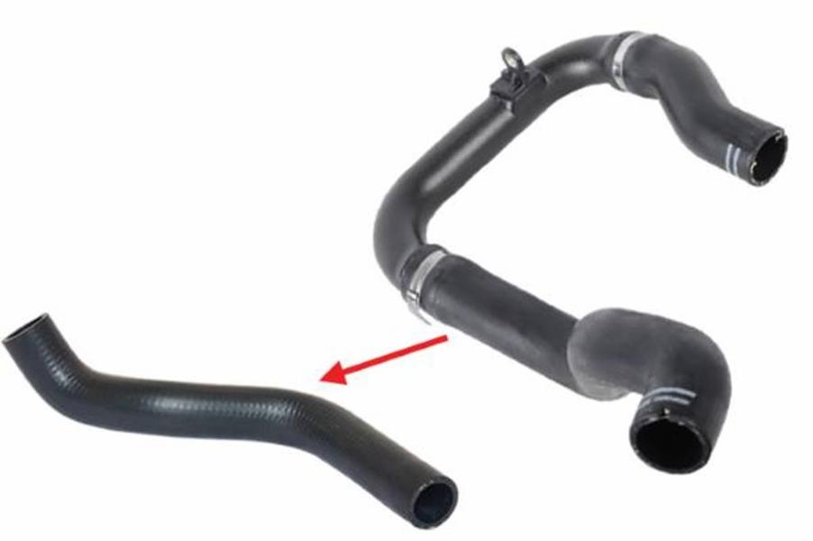 229075235.jpg 229075235