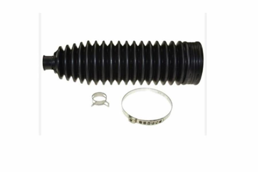 309931144.jpg 309931144