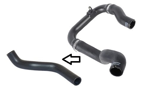 339340276.jpg 339340276