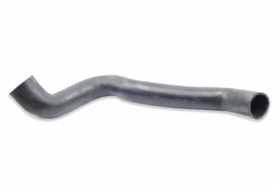 341197809.jpg 341197809