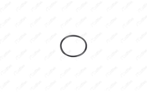 Radyatör Su Giriş Boru Contası P106-p205-p206-p301-p306-p307-p308-p309-p405-partner-berlıngo-ax-bx-c -elysee-c2-c3-c4-xsara-saxo 1.4-1.5-1.6 - 1206.98