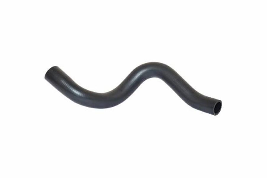 373455529.jpg 373455529