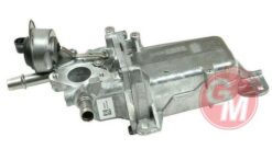 Egr Soğutucusu Komple Renault Trafıc Iıı 15> Megane Iv 15> Talısman 15> Scenıc Iv 15> 1.6dci - 147357086R-6000616785