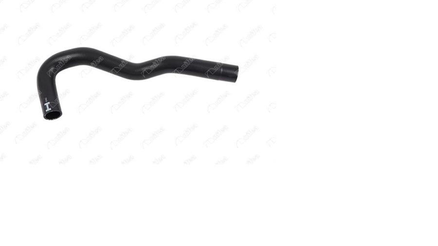 402921678.jpg 402921678