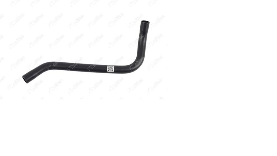 458349731.jpg 458349731