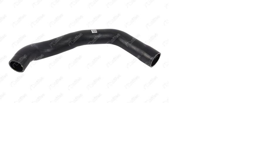 495180338.jpg 495180338