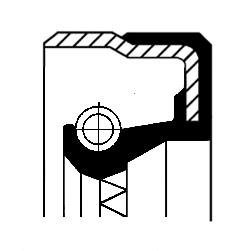 508116019