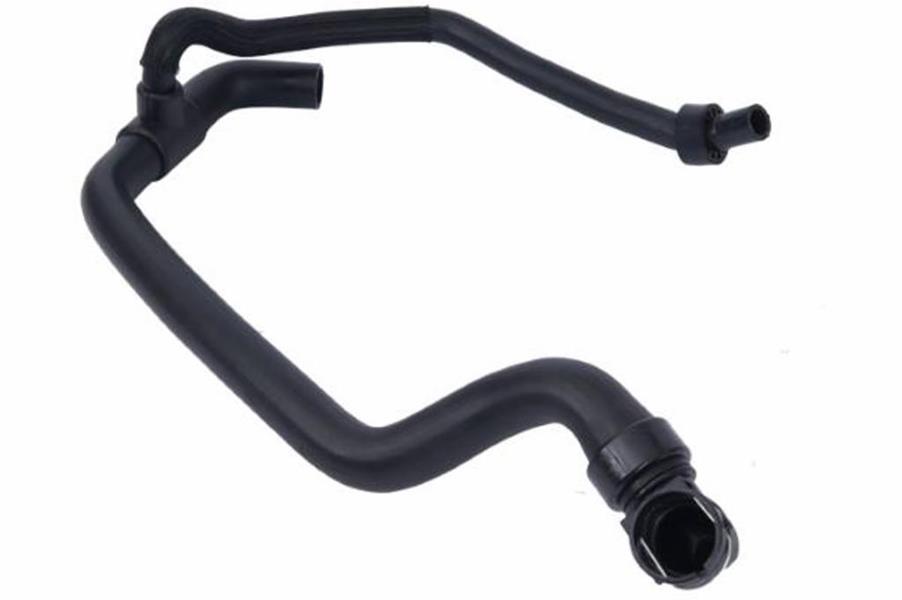 543316727.jpg 543316727