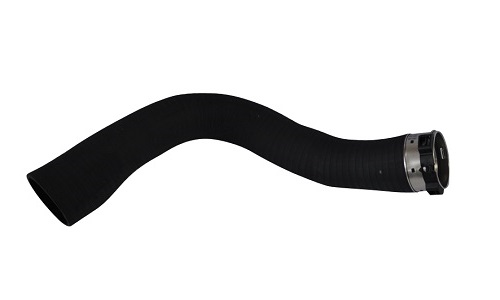 562926822.jpg 562926822