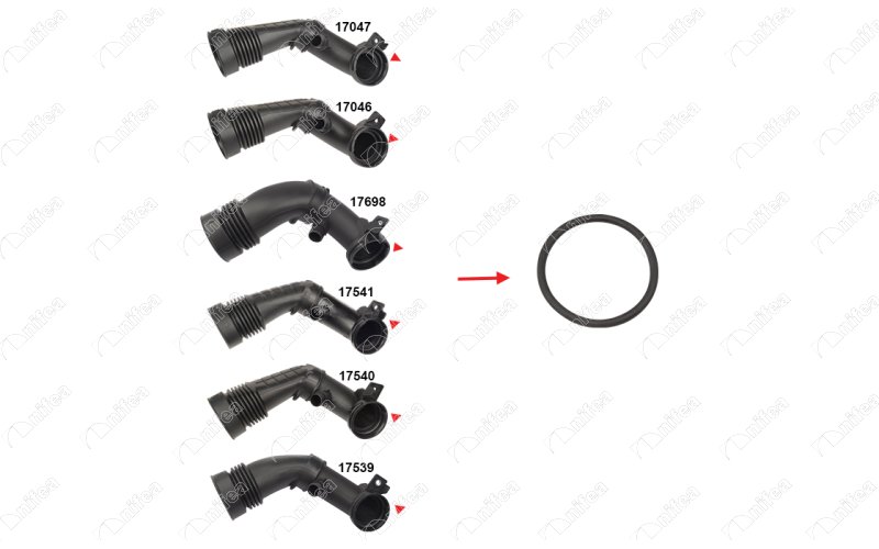 CREATOR: gd-jpeg v1.0 (using IJG JPEG v80), quality = 85 588040742