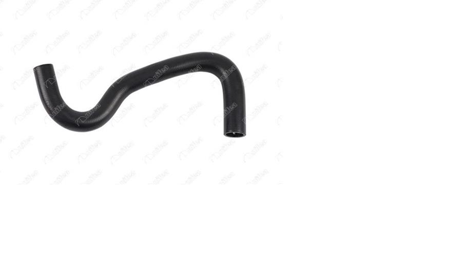 692181313.jpg 692181313