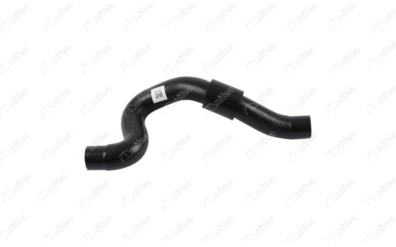 CREATOR: gd-jpeg v1.0 (using IJG JPEG v80), quality = 85 737590679